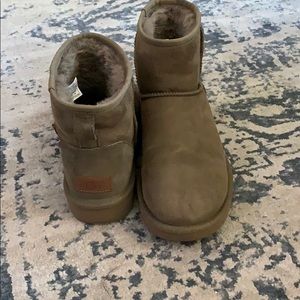 Women’s dark brown short UGGs size 8